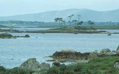 in Connemara